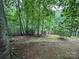 Backyard view of lush, green trees creating a nature-filled oasis at 0000 Woodhill Cove Ln # 5, Denver, NC 28037