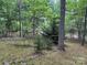 Backyard view with mature trees, moss, and small water feature visible at 0000 Woodhill Cove Ln # 5, Denver, NC 28037