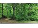 Lush, wooded property with a partially visible path, offering a sense of privacy and natural beauty at 0000 Woodhill Cove Ln # 5, Denver, NC 28037