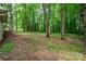Backyard view with a wooded area, green ground cover and trees at 1802 Deer St, Charlotte, NC 28214