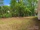 Large backyard featuring lush greenery and potential for outdoor activities and relaxation at 4126 Howie Cir, Charlotte, NC 28205
