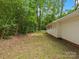 Grassy side yard with mature trees, offering a serene and private outdoor space at 4126 Howie Cir, Charlotte, NC 28205