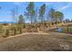 Spacious backyard with a playset, surrounded by a black metal fence, perfect for outdoor enjoyment at 518 Palmarosa St, Fort Mill, SC 29715