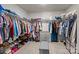 Spacious walk-in closet with organized shelving, ample storage for clothing, and carpeted flooring at 7172 Teague Dr, Gastonia, NC 28056