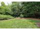 Lush green backyard with shade trees and well maintained lawn, offering a private outdoor space at 1103 Mapesbury Ln, Waxhaw, NC 28173