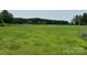 Grassy field with a tree line in the distance, showing plenty of open space at 1545 Lewis Farm Rd, Kings Mountain, NC 28086