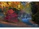 A scenic asphalt road winding through colorful autumn trees, showcasing vibrant foliage at 248 Pioneer Dr, Mount Gilead, NC 27306