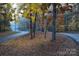 A tree-lined street covered in autumn leaves, showcasing the fall colors at 248 Pioneer Dr, Mount Gilead, NC 27306