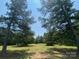 Land featuring mature trees, a clear sky, and grassy areas at 5410 A R Gordon Rd, Waxhaw, NC 28173
