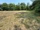 Open grassy property with sparse vegetation and exposed soil at 5410 A R Gordon Rd, Waxhaw, NC 28173