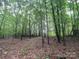 Scenic wooded land view, featuring mature trees and ground cover at 5410 A R Gordon Rd, Waxhaw, NC 28173