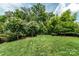 Expansive backyard featuring lush green lawn, mature trees, and manicured landscaping at 11324 Fullerton Place Nw Dr, Huntersville, NC 28078