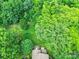 Aerial view of a home nestled among lush trees, showcasing a private backyard at 1201 Beckford Glen Dr, Waxhaw, NC 28173