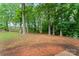 Large backyard with trees at 2328 Danforth Ln, Charlotte, NC 28208
