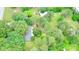 Aerial view of lush property dotted with mature trees and landscaping, with a house nestled in the greenery at 3158 Salisbury Hwy, Statesville, NC 28677