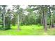 Lush green backyard with mature trees, offering privacy and a serene setting for outdoor enjoyment at 3158 Salisbury Hwy, Statesville, NC 28677