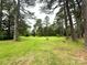 Sprawling green backyard featuring mature trees providing ample shade, perfect for outdoor activities and relaxation at 3158 Salisbury Hwy, Statesville, NC 28677