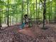 An outdoor playground with a slide and swings is surrounded by tall trees in the backyard of this property at 3347 Xandra Ct, Indian Land, SC 29707