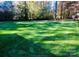 A lush green backyard surrounded by trees and foliage at 390 Robinson Rd, Mooresville, NC 28117