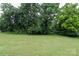 Expansive green backyard providing a lush, serene atmosphere for outdoor enjoyment and relaxation at 400 Majolica Rd, Salisbury, NC 28147