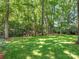 Lush green backyard with mature trees offering shade and privacy at 4026 Sharon View Rd, Charlotte, NC 28226