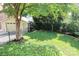 Backyard with well-manicured lawn, detached garage, and beautiful landscaping at 1021 Isleworth Ave, Charlotte, NC 28203