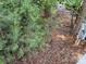 Partially cleared lot, ready to be prepared for a backyard at 103 Powder Horn Trl, Mount Gilead, NC 27306