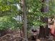 Scenic backyard view with mature trees and a potential fire pit area at 103 Powder Horn Trl, Mount Gilead, NC 27306