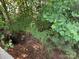 Homesite featuring a mix of mature trees and natural foliage at 103 Powder Horn Trl, Mount Gilead, NC 27306