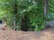 Homesite featuring a mix of mature trees at 103 Powder Horn Trl, Mount Gilead, NC 27306