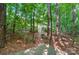 Landscaped backyard with a stone pathway leading to a charming wooden deck surrounded by lush greenery at 110 St Sophia Ct, Mooresville, NC 28117