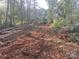 Image of a lot being cleared of trees and brush, prepped for building at 1676 Parkside Dr, Catawba, NC 28609