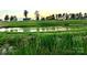 Picturesque shot of a pond with ducks and a charming home in the background at 2737 Bobcat Rd, Heath Springs, SC 29058