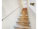 Stairway with carpeted steps and white handrail leading to upper level at 12910 Meetinghouse Dr, Cornelius, NC 28031