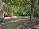 Expansive backyard with a wooden fence and mature trees, providing privacy and plenty of space for activities at 3313 Fortis Ln, Matthews, NC 28105