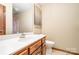Bright bathroom features a classic vanity with a white countertop and a framed mirror at 6719 Love Point Rd, Denver, NC 28037