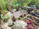 Aerial shot showing home with colorful landscaped yard and neighboring lake at 1601 Wandering Way Dr, Charlotte, NC 28226