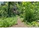 Natural path surrounded by lush greenery, creating a private and peaceful outdoor escape at 2813 Hilliard Dr, Charlotte, NC 28205