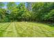 Beautifully manicured backyard lawn surrounded by mature trees and lush greenery at 3735 Gordon St, Terrell, NC 28682