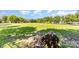 Expansive common area with mature trees provides a serene, natural setting with abundant shaded spots at 9210 Ginhouse Ln, Charlotte, NC 28277