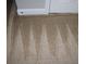 Close up on the carpet at 10726 Greenhead View Rd, Charlotte, NC 28262
