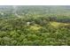 Lush aerial view of a wooded homesite, featuring mature trees and verdant landscape at 168 Pleasant Creek Dr, Cleveland, NC 27013