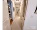 Bright hallway with carpet, white trim, doors, and access to multiple rooms at 35 Wittenburg Springs Dr, Taylorsville, NC 28681