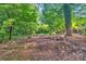 Backyard featuring mature trees, green foliage and a rock lined hillside at 514 Wood St, Troy, NC 27371