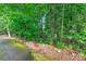 Green foliage of trees and greenery alongside a paved path showing nature's beauty at 514 Wood St, Troy, NC 27371