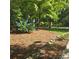 Attractive landscaping featuring hydrangea bushes and stone borders at 695 Knollcrest Ne Dr, Concord, NC 28025
