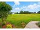 A spacious grassy backyard offers ample room for outdoor activities and relaxation at 116 Eve Ash Ln, Mooresville, NC 28115