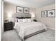 Comfortable main bedroom features soft carpeting, abundant natural light, and sophisticated decor at 1202 Elm Forest Ln, China Grove, NC 28023