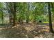 A serene backyard retreat with mature trees and a charming playhouse perfect for outdoor activities at 1282 W Hwy 27 Hwy, Lincolnton, NC 28092