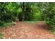 Beautiful lush backyard with a single bench at 151 Cynthia St, Statesville, NC 28677